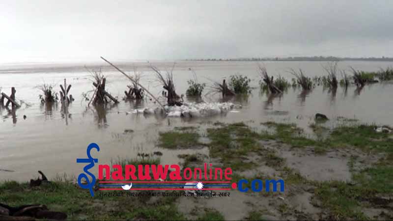 kosi nirichan cdo sunsari inaruwa1