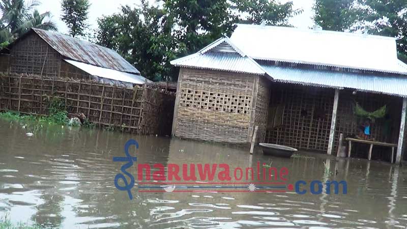 sunsari badhi nirikchan1
