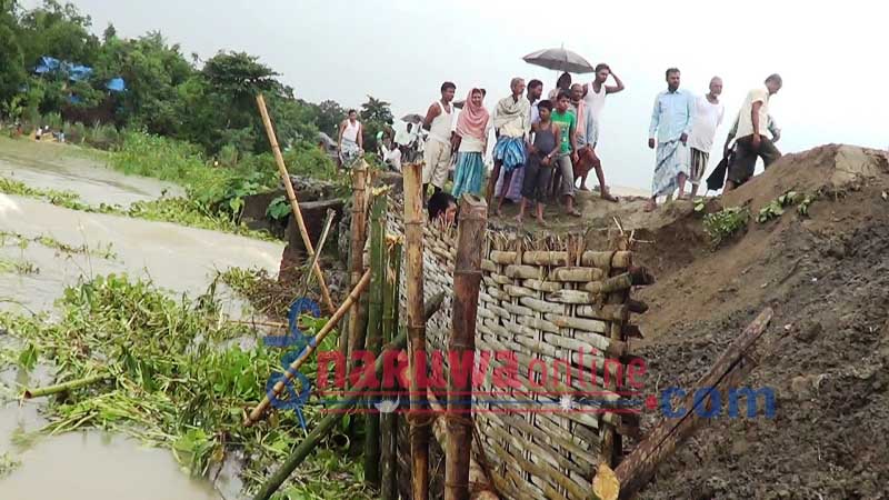 sunsari badhi nirikchan2