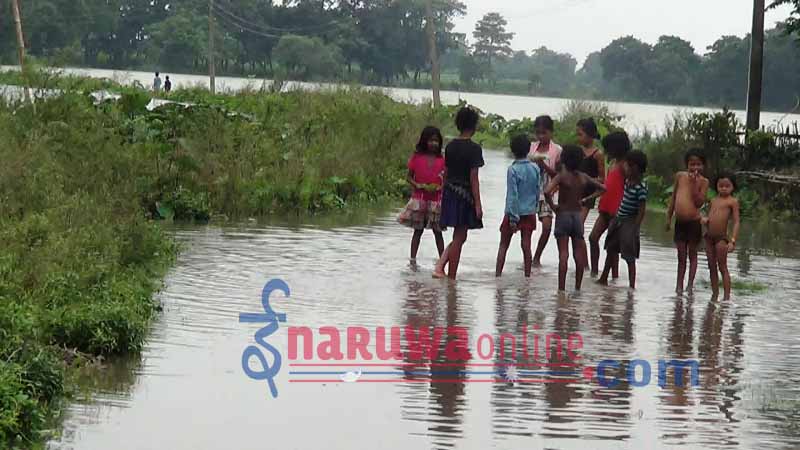 sunsari badhi nirikchan4